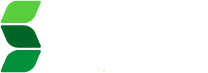 skillfull logo image
